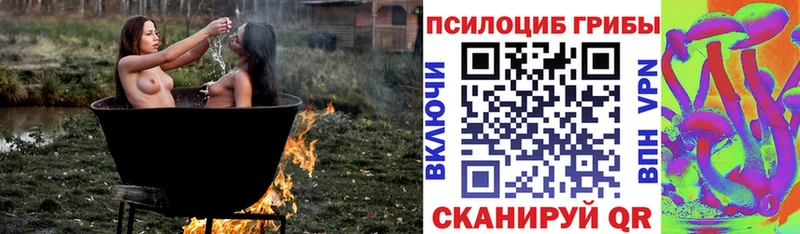 нарко площадка наркотические препараты  Калачинск  Галлюциногенные грибы Magic Shrooms 
